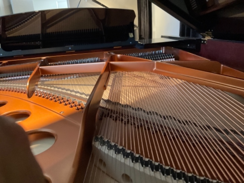 Additional image for Bosendorfer 170 VC